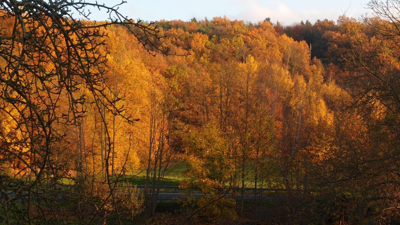 Ferienwohnung Und Pension "Zur Aue" Konigsbruck Luaran gambar