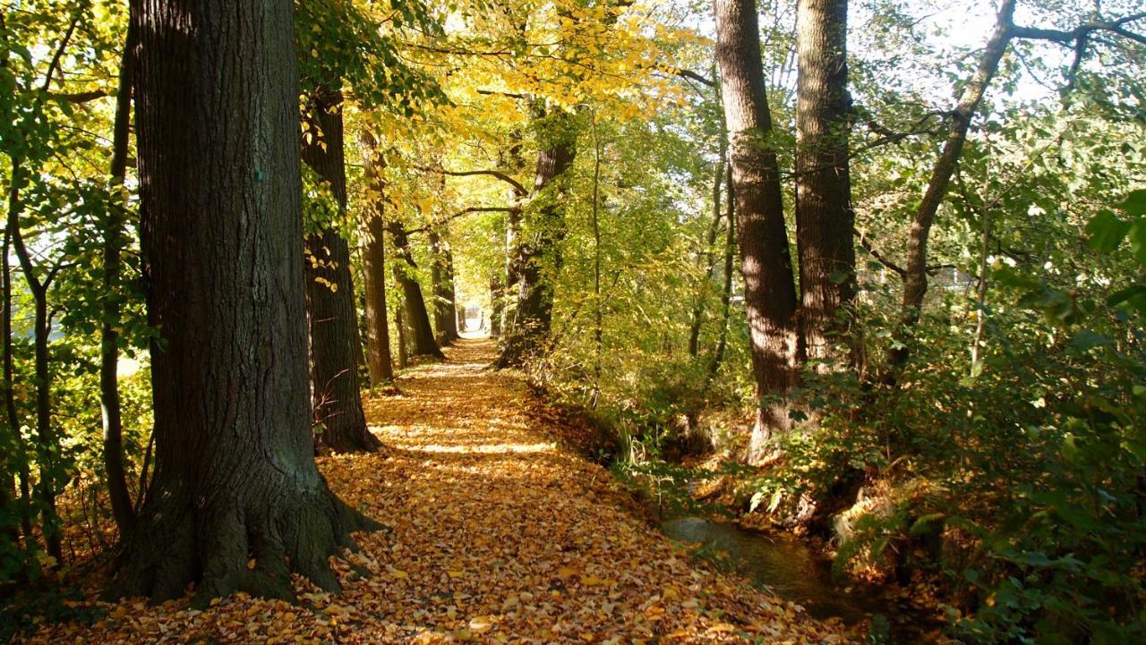 Ferienwohnung Und Pension "Zur Aue" Konigsbruck Luaran gambar
