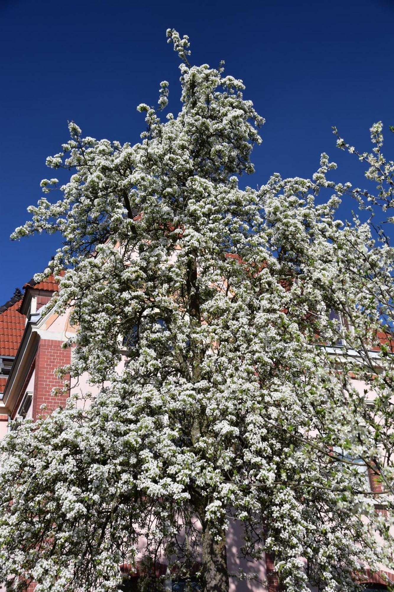 Ferienwohnung Und Pension "Zur Aue" Konigsbruck Luaran gambar