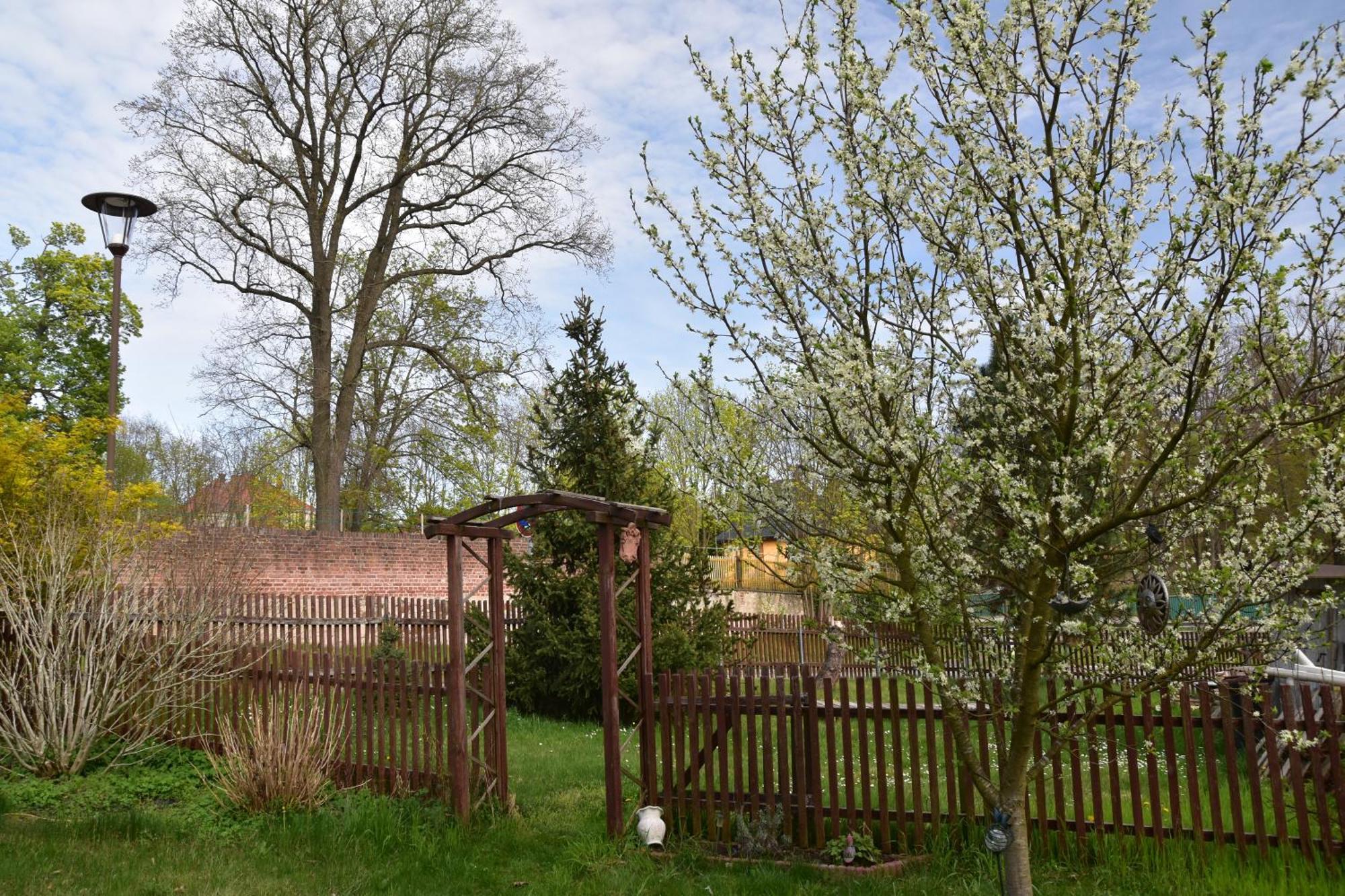 Ferienwohnung Und Pension "Zur Aue" Konigsbruck Luaran gambar