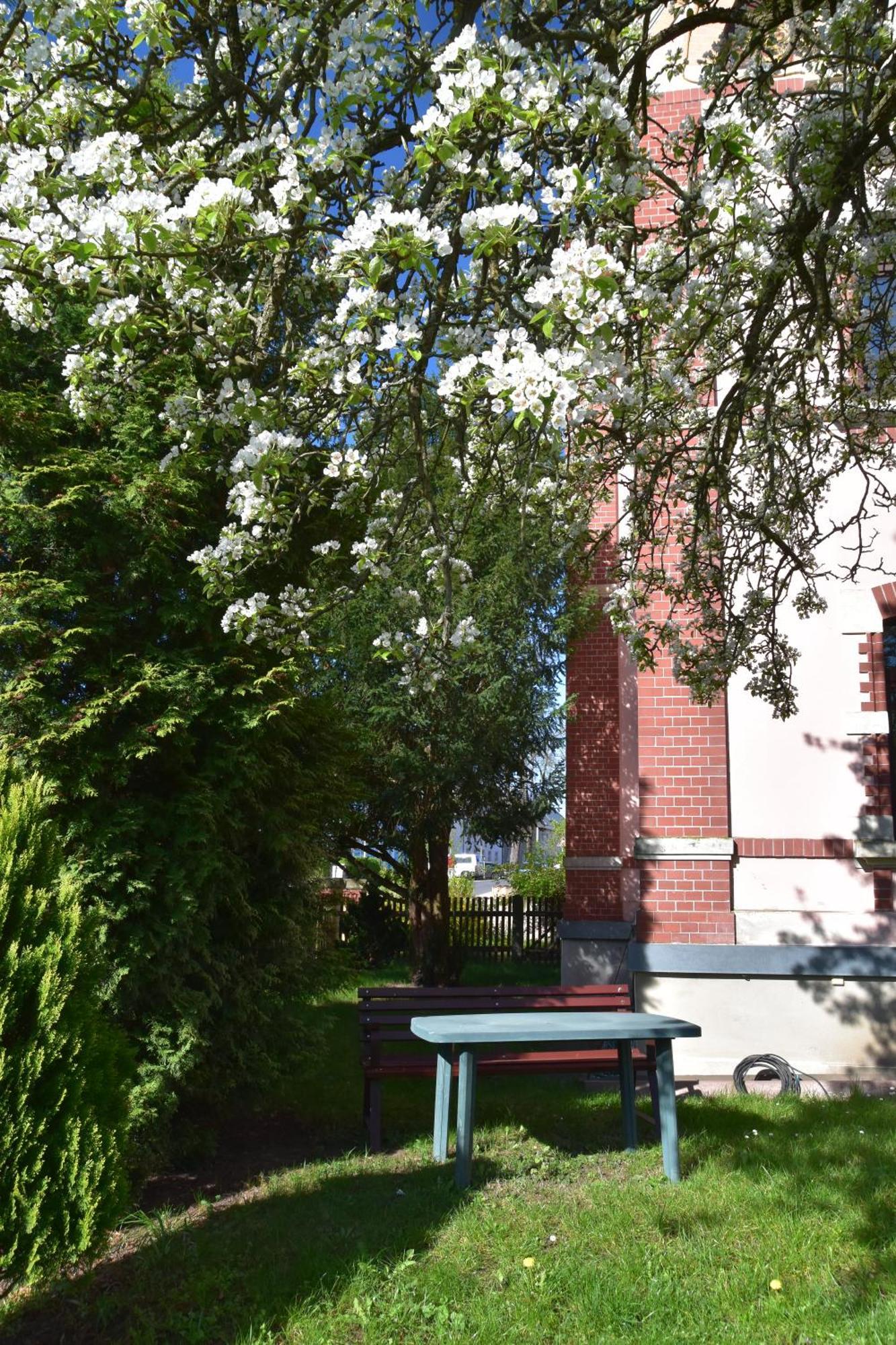 Ferienwohnung Und Pension "Zur Aue" Konigsbruck Luaran gambar